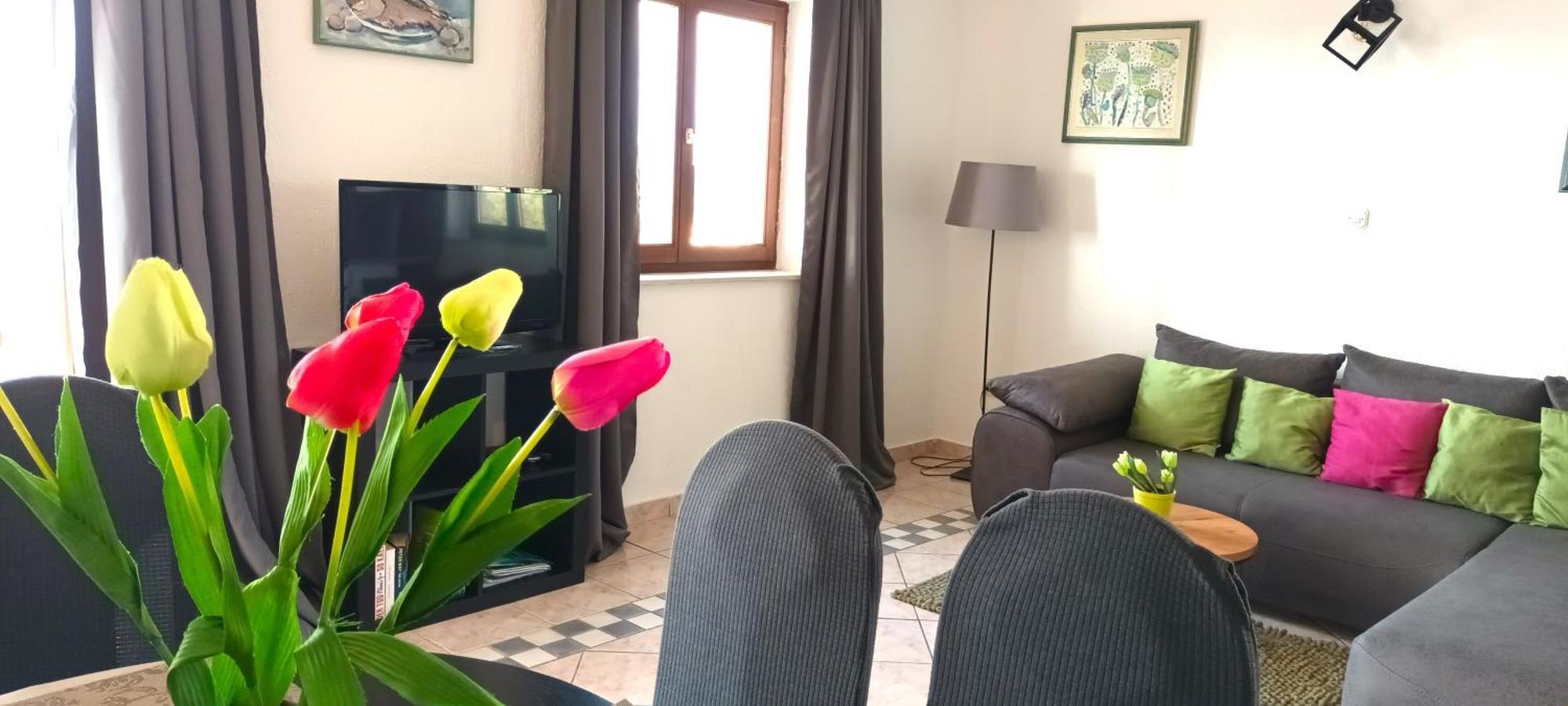 Olivista Croatia Apartments 奈维斯 外观 照片